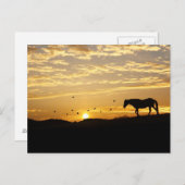 Cheval en carte postale coucher de soleil (Devant / Derrière)