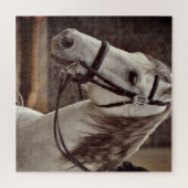 Cheval Equestre Puzzle andalou (Horizontal)