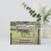 Cheval et âne Nouvelle carte postale (Debout devant)