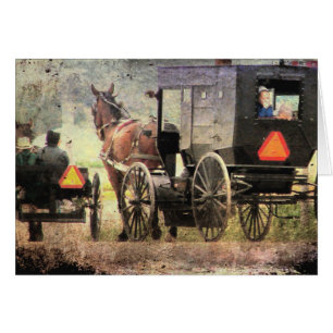 Cheval et boguet amish