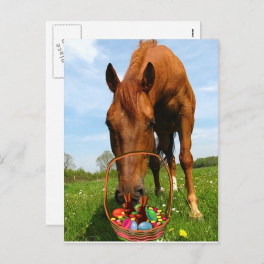 Cheval et carte postale de panier de Pâques (Devant / Derrière)