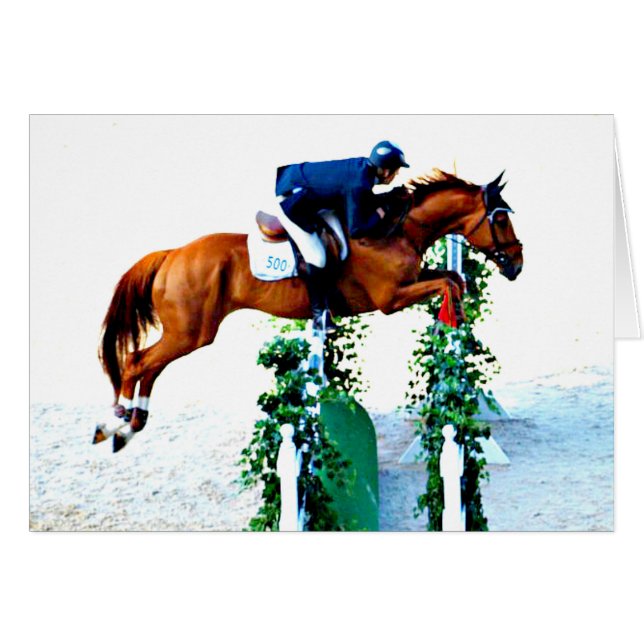 Cheval et cavalier dans l'anneau Jumper (Devant horizontal)