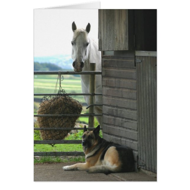 Cheval et chien (Devant)