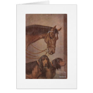 Cheval et chiens