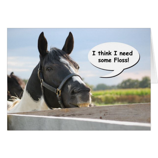 Cheval et Floss (Devant horizontal)