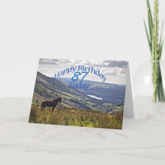 Cheval et paysage Carte 87e anniversaire (Devant)
