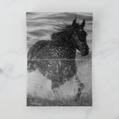 Cheval foncé roule sur la carte de voeux de l'eau (Intérieur)