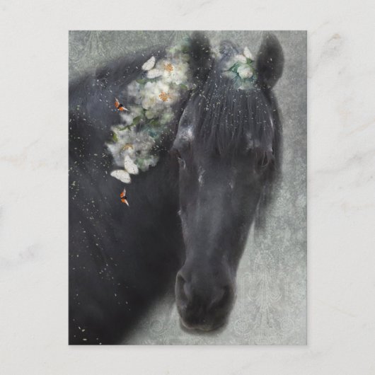 Cheval friésien - Carte postale (Devant)