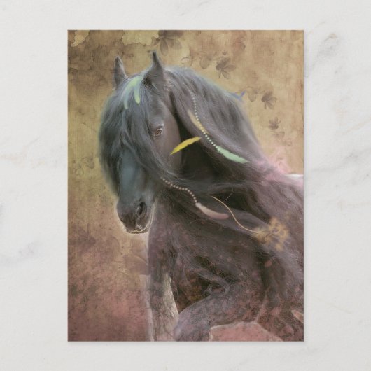 Cheval Frison Black Beauty - Carte postale (Devant)