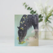 Cheval Frison - Carte postale (Debout devant)