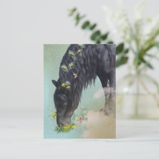 Cheval Frison - Carte postale (Debout devant)