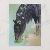 Cheval Frison - Carte postale (Devant)