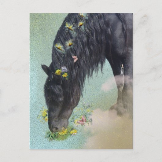 Cheval Frison - Carte postale (Devant)