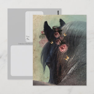 Cheval Frison - Carte postale