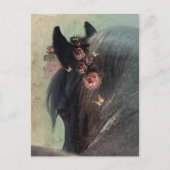 Cheval Frison - Carte postale (Devant)