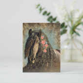 Cheval Frison - Carte postale (Debout devant)