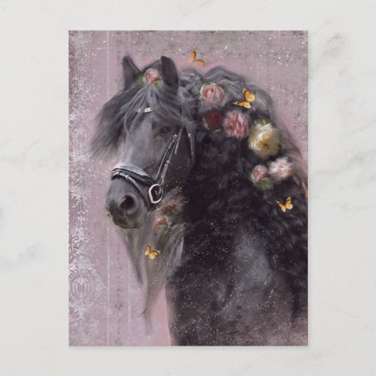 Cheval Frison - Carte postale (Devant)