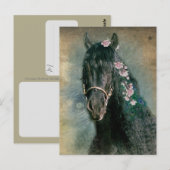 Cheval Frison - Carte postale (Devant / Derrière)