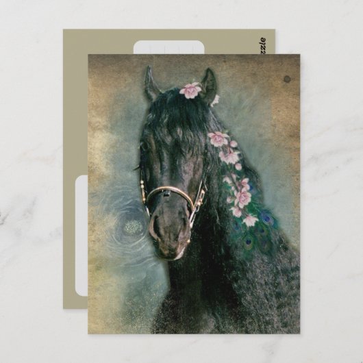 Cheval Frison - Carte postale (Devant / Derrière)