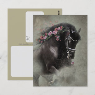 Cheval Frison - Carte postale