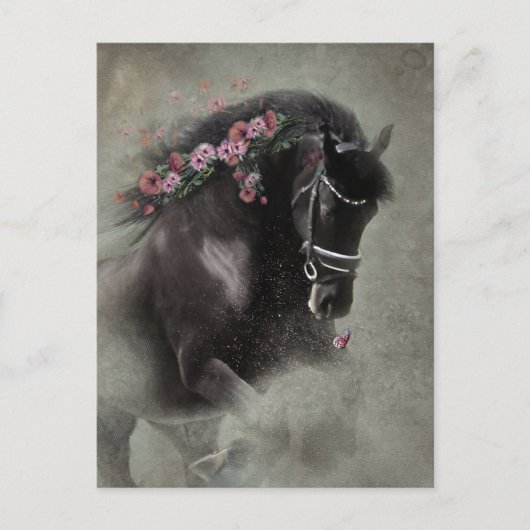 Cheval Frison - Carte postale (Devant)