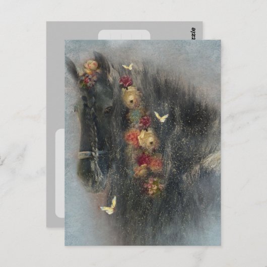 Cheval Frison - Carte postale (Devant / Derrière)