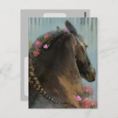 Cheval Frison - Carte postale (Devant / Derrière)