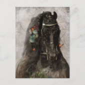 Cheval Frison - Carte postale (Devant)