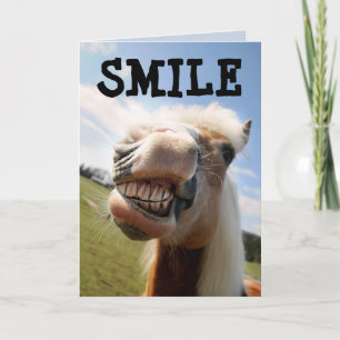 CHEVAL FUNNY SOURIRE CARTE DE SALUT D'ANNIVERSAIRE