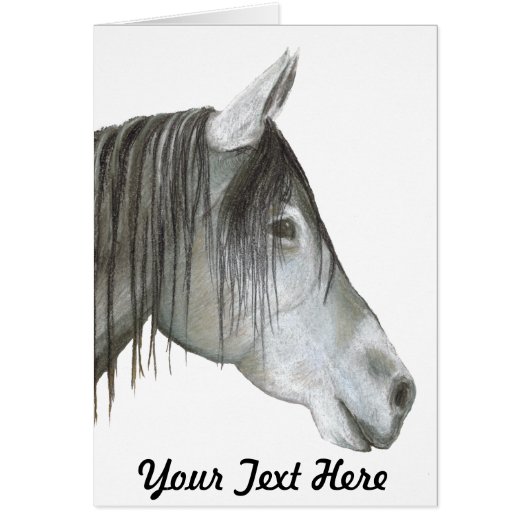 Cheval gris (Devant)