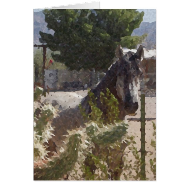 Cheval gris en Catcus (Devant)