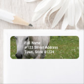Cheval gris Étiquettes de la poste (En situation)