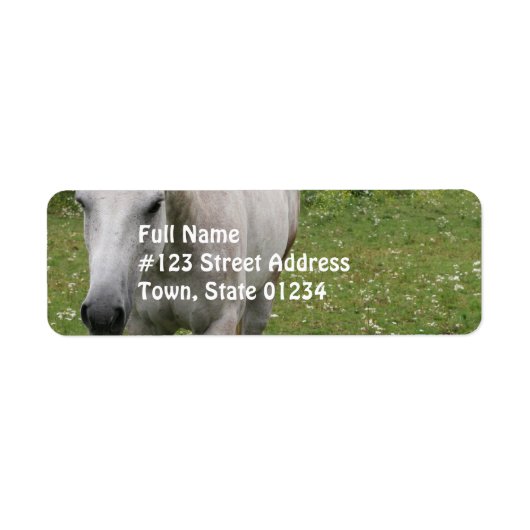 Cheval gris Étiquettes de la poste (Devant)