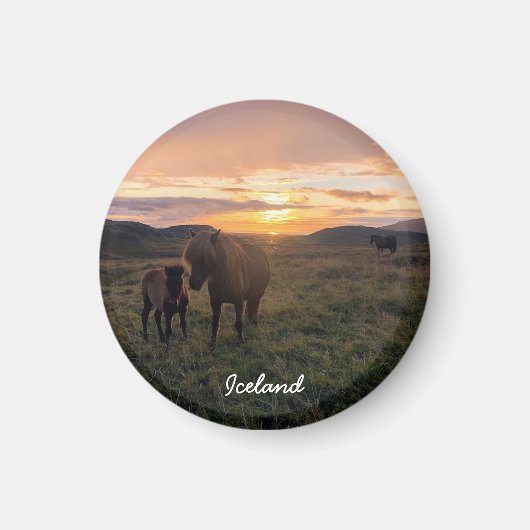 cheval islandais - aimant paysage (Devant)