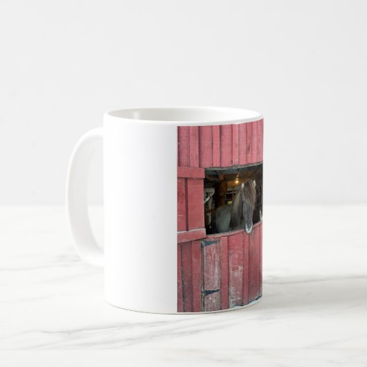 Cheval islandais et mug d'âne (Devant gauche)