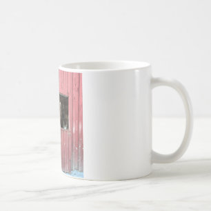 Cheval islandais et mug d'âne
