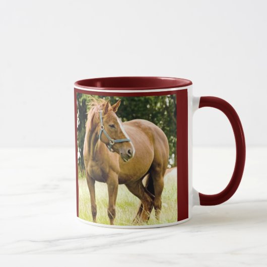 Cheval (jument) dans la tasse de champ (Droite)