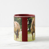 Cheval (jument) dans la tasse de champ (Centre)