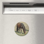 Cheval - Magnet (In Situ (Lave-vaisselle))