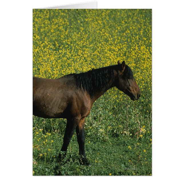 Cheval Mustang sauvage debout en fleurs (Devant)
