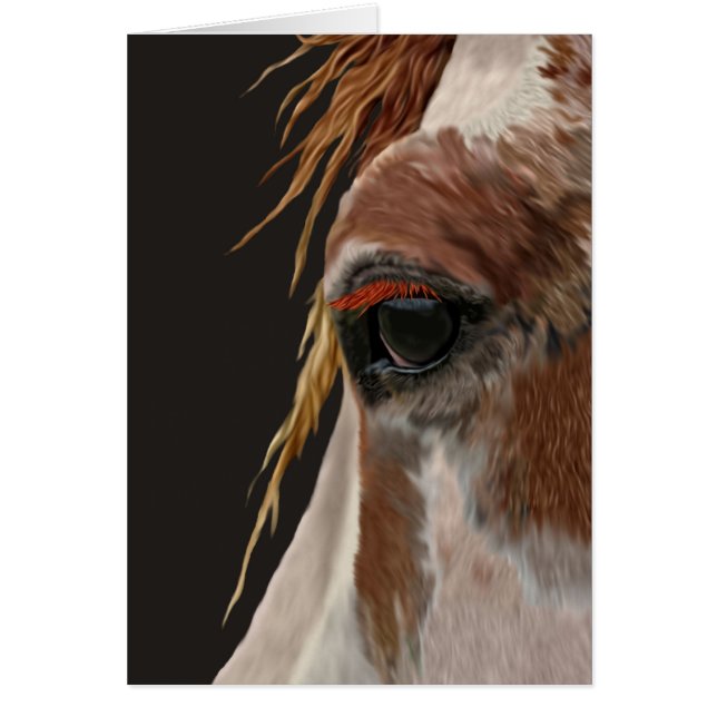 Cheval Nakota (Devant)