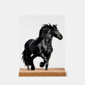 Cheval noir (Recto)