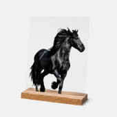 Cheval noir (Angle)