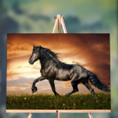 cheval noir (Neutre)