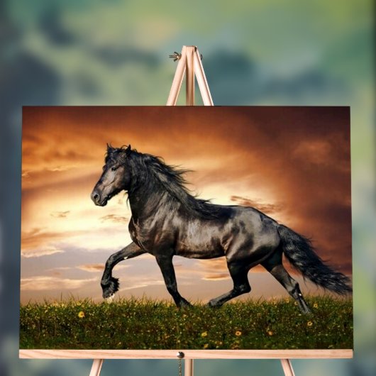 cheval noir (Neutre)