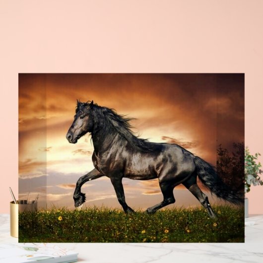 cheval noir (Mariage)