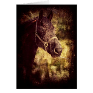 Cheval noir