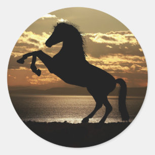 Cheval noir/ autocollants marron.