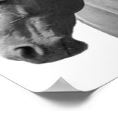 Cheval noir blanc Style moderne Poster (Coin)