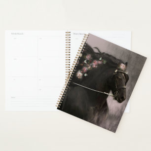 Cheval Noir Cheval Friesen - Calendrier, Planifica